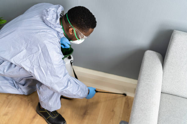 Best Bed Bug Extermination  in River Ridge, LA